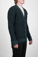 HOMEOSTASIS cardigan, never green